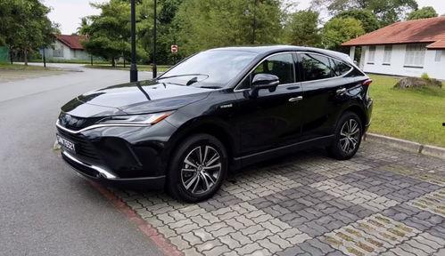 91po國產,揭秘神秘東方古國的歷史與文化