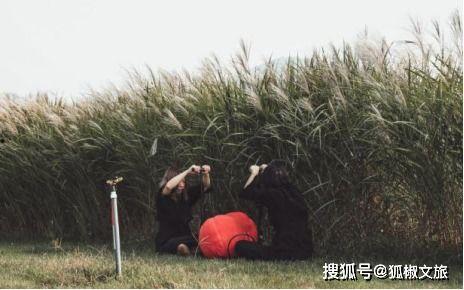 國產伊甸園,探尋東方夢幻樂園的奇幻之旅 第2張 國產伊甸園,探尋東方夢幻樂園的奇幻之旅 第2張