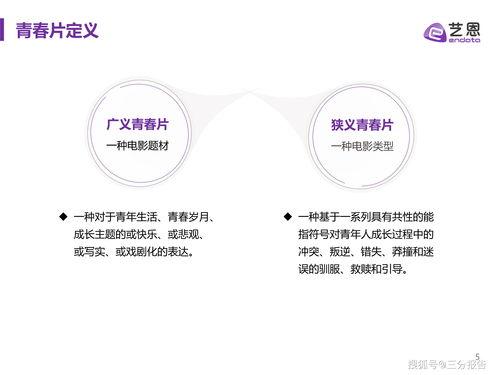 國產39頁,揭秘我國科技發展的新篇章  第2張