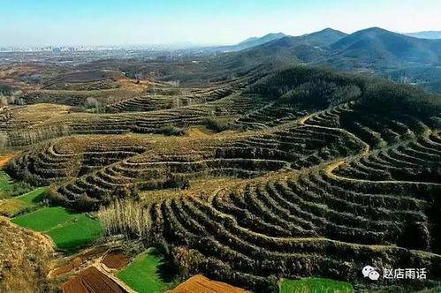 國產三級鄉下,國產三級電影的鄉村畫卷  第2張