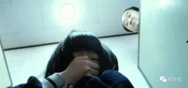 國產女廁,探索女性空間與生活品質的融合之道